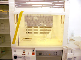 Picture of Fume Hood - Acid & Base - HF & BOE Work