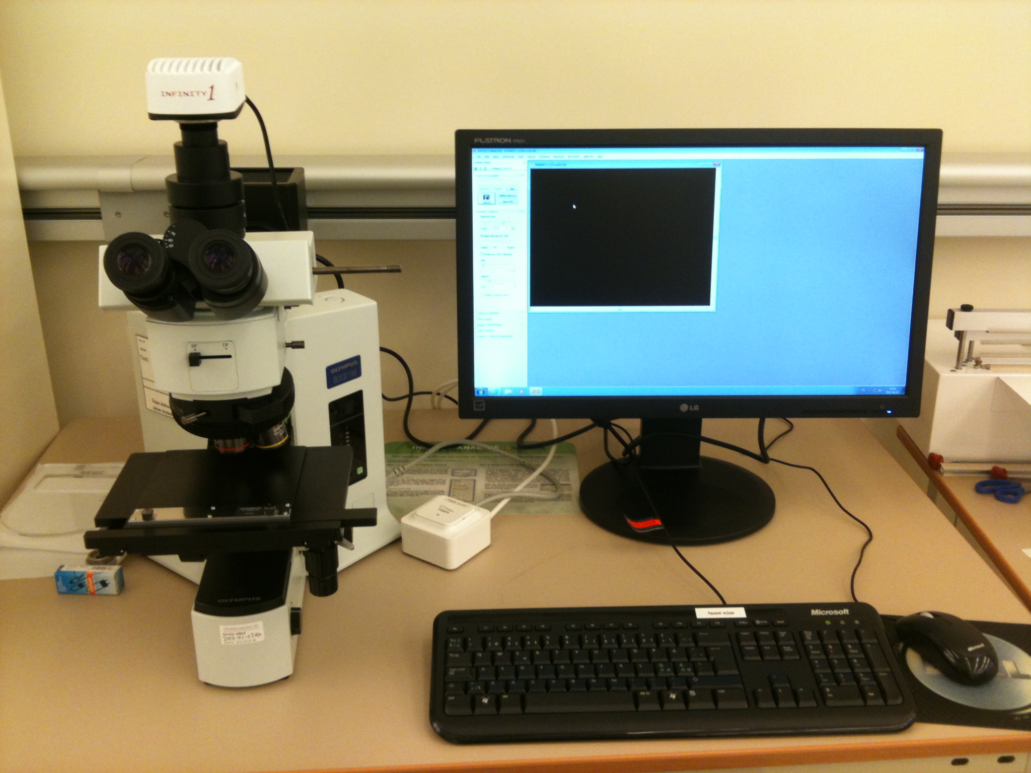 Picture of Microscope - Olympus BX52